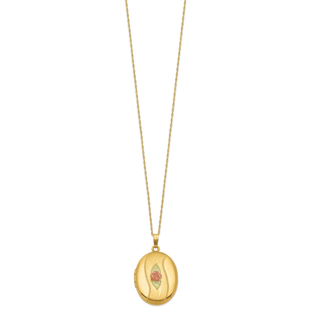 10K w/ 12k Accents and 14k Gold-filled Chain Black Hills Locket - Image 2