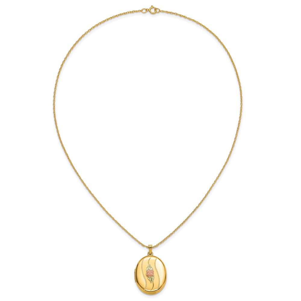 10K w/ 12k Accents and 14k Gold-filled Chain Black Hills Locket - Image 6