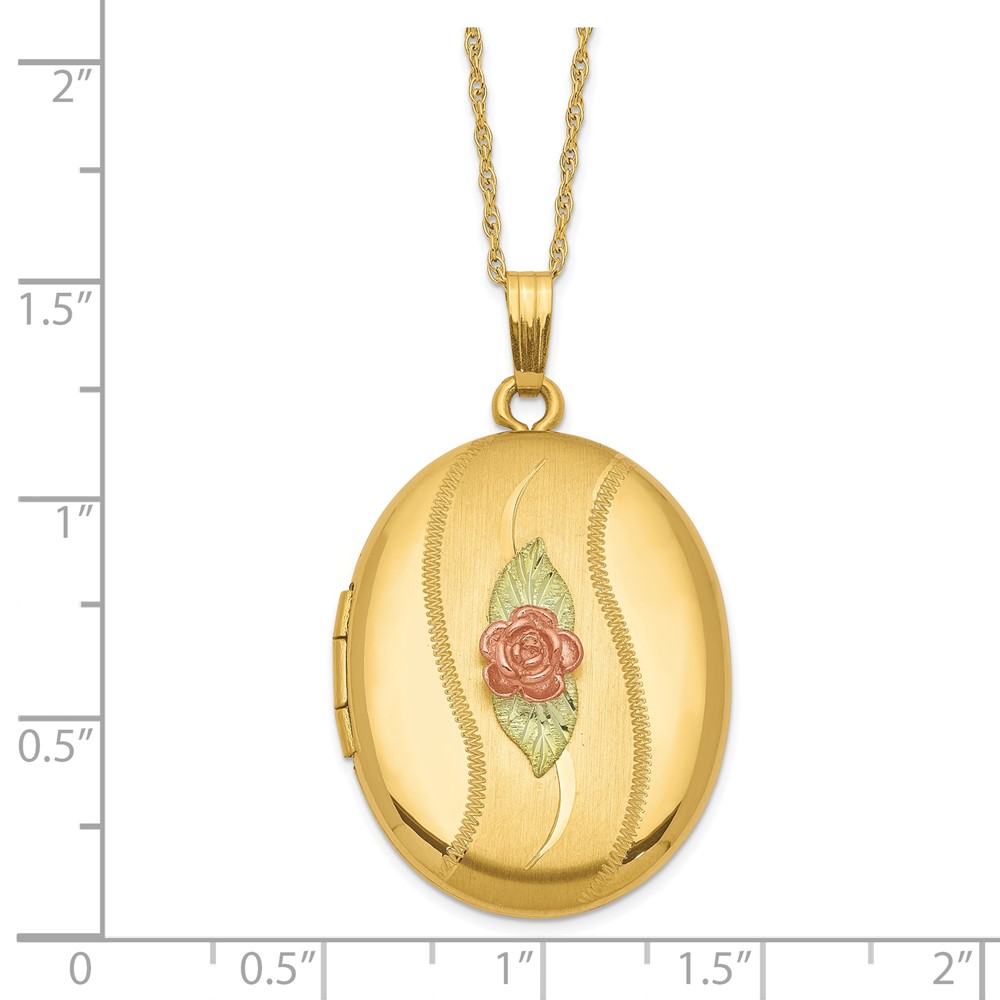10K w/ 12k Accents and 14k Gold-filled Chain Black Hills Locket - Image 3