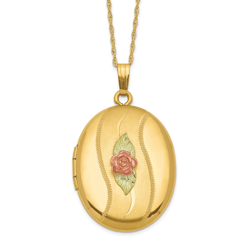 10K w/ 12k Accents and 14k Gold-filled Chain Black Hills Locket - Image 1