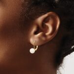 14k 7-8mm White Round Saltwater Akoya Cultured Pearl Leverback Earrings - Image 3