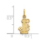 10K #1 DAD Charm - Image 3