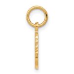 10k Swimming Charm - Image 2