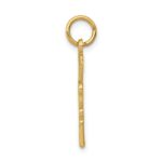 10k Registered Nurse Practitioner Charm - Image 2