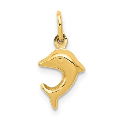 10k Dolphin Charm