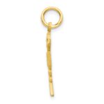 10k Solid Registered Nurse Charm - Image 2