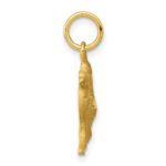 10k Camel Charm - Image 2