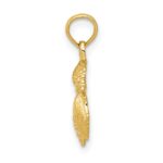 10k Solid Polished Mini Shell Cluster Pendant - Image 2