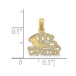 10K 100% CAPRICORN Zodiac Charm - Image 3