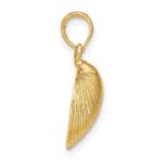 10K Medium Clam Shell Pendant - Image 2