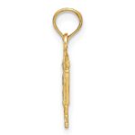 10K Registered Nurse Pendant - Image 2