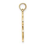 10K Textured Dollar Sign Charm - Image 2