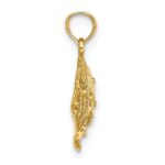 10K 2-D Polished Engraved Fish Charm - Image 2
