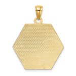 10k Medical Disc Pendant - Image 4