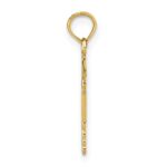 10K RN Caduceus Pendant - Image 2