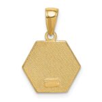 10K Enameled Medical Disk Pendant - Image 4