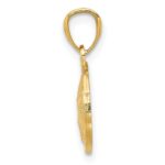 10k Gold Polished & Textured Sand Dollar Pendant - Image 2