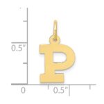 10k Small Block Initial P Charm - Image 3