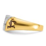 IBGoodman 14k Two-tone Men's Polished with Multi-color Enamel and Diamond Masonic Shriner's Ring - Image 3