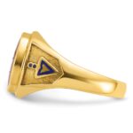 IBGoodman 10k Men's Polished and Textured with Blue Enamel and Lab Created Ruby Blue Lodge Master Masonic Ring - Image 5