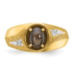 10k IBGoodman Men's Satin Black Star Sapphire and Diamond Complete Ring - Image 6