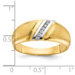 10k IBGoodman Men's Polished and Satin Ring Mounting - Image 2