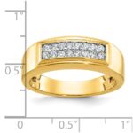 10k IBGoodman Men's Polished 2-Row Ring Mounting - Image 3