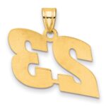 14k Polished Block Number 23 Pendant - Image 3