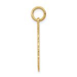 14k RN Registered Nurse Textured Back Disc Charm - Image 2