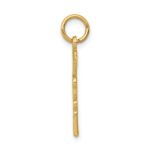 14k RNP Registered Nurse Practitioner Charm - Image 2