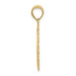 14k Solid Satin Polished Pisces Zodiac Oval Pendant - Image 2
