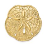 14k Large Sand Dollar Omega Slide