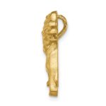 14K Brushed Diamond-cut Lion Chain Slide - Image 2