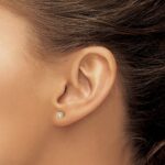14k 1/3 carat Lab Grown Diamond VS/SI+ G+ Round Complete Four Prong Screwback Heavyweight Stud Earrings - Image 3