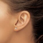 14k White Gold 1/5 carat Lab Grown Diamond VS/SI+ G+ Round Complete Three Prong Stud Earrings - Image 3