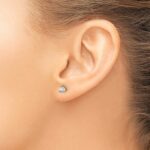 14k 1/3 carat Lab Grown Diamond VS/SI+ G+ Round Complete Three Prong Stud Earrings - Image 3
