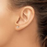 14k 1/4 carat Lab Grown Diamond VS/SI+ G+ Round Complete Three Prong Screwback Stud Earrings - Image 3