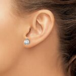 14k White Gold 2 carat Lab Grown Diamond VS+ F+ Round Complete Three Prong Screwback Stud Earrings - Image 3