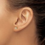 14k 1/3 carat Lab Grown Diamond VS+ F+ Princess Complete Four Prong Stud Earrings - Image 3