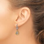 14k Two-tone Oval Cluster 1/4 carat Diamond Leverback Earrings - Image 3