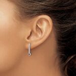 14k White Gold 1/3 carat Red/White Diamond Drop Dangle Post Earrings - Image 3