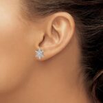 14k White Gold 5/8 carat Lab Grown Diamond VS/SI+ G+ Complete Star Post Earrings - Image 3