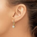 14k 1 carat Lab Grown Diamond VS/SI+ G+ Complete Round Halo Drop Leverback Earrings - Image 3