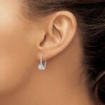 14k White Gold 3/4 carat Lab Grown Diamond VS/SI+ G+ Complete Drop Leverback Earrings - Image 3