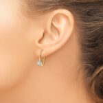 14k 3/4 carat Lab Grown Diamond VS/SI+ G+ Complete Drop Leverback Earrings - Image 3