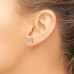 14k 1 carat Lab Grown Diamond VS+ F+ Radiant Complete Four Prong Stud Earrings - Image 3