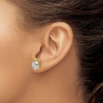 14k 3 carat Lab Grown Diamond VS/SI+ G+ Complete Oval Four Prong Stud Earrings - Image 3