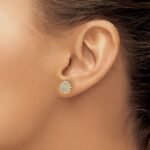 14k 1/2 carat Lab Grown Diamond VS/SI+ G+ Complete Cluster Post Earrings - Image 3