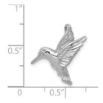 14k White Gold Polished Open-Backed Hummingbird Chain Slide - Image 4
