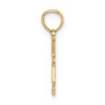 14K RN Registered Nurse Caduceus Charm - Image 2